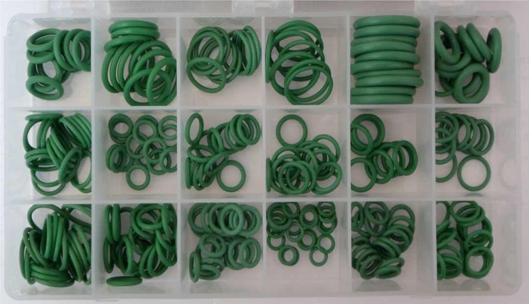 ELCI O-Ring Seti-265